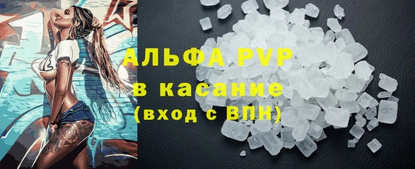 стафф Богданович