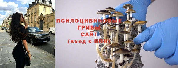 твердый Богородск